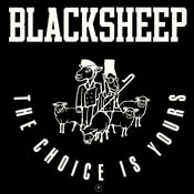 Image of BLACK SHEEP "THE CHOICE IS YOURS" 7" REISSUE (BLACK VINYL) UK IMPORT