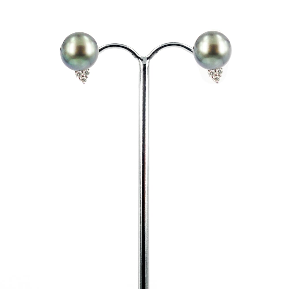 Image of Tahitian pearl and diamond stud earrings. E1531