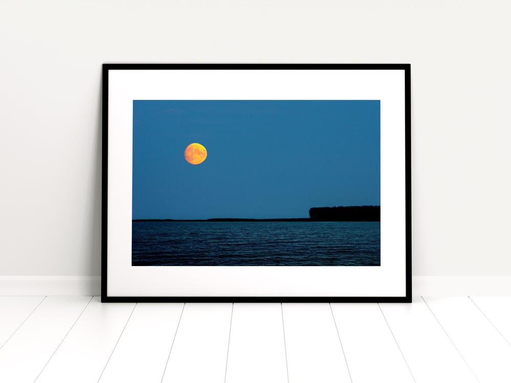 Moon Rising Over Tentsmuir Point