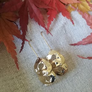 Image of Pendientes Dobles