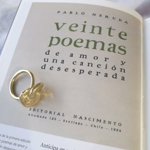 Image of Anillo Almas