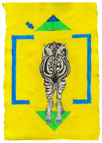 Image 1 of Zebra – A3 Mounted Print