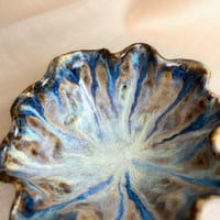 Image 3 of Marine bowl 2