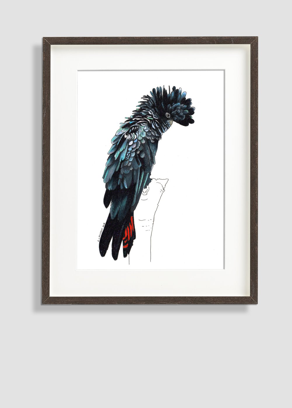 Black Cocky A3 Limited Edition (100) Giclée Print