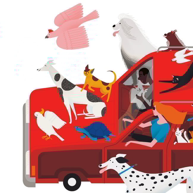 Print — Animal Car