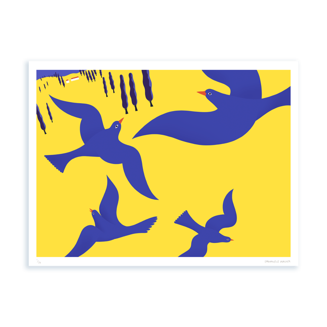 Print — Biomimicry — Birds