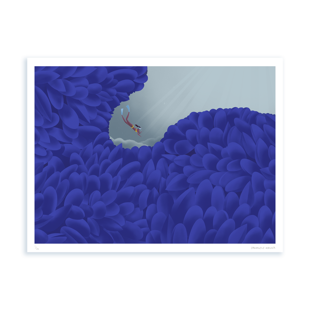 Print — Biomimicry — Mussels | emmanuellewalker
