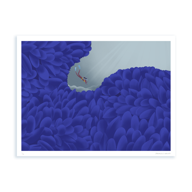 Print — Biomimicry — Mussels