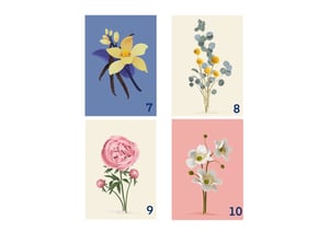 Illustrazioni botaniche I