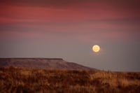 Harvest Moon