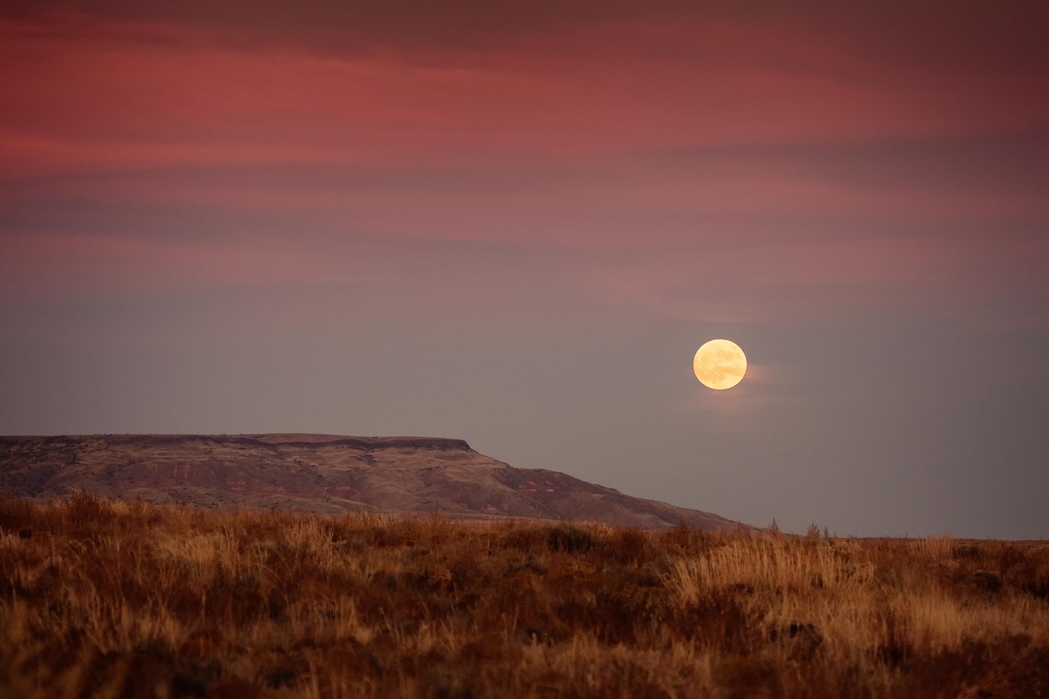 Image of Harvest Moon