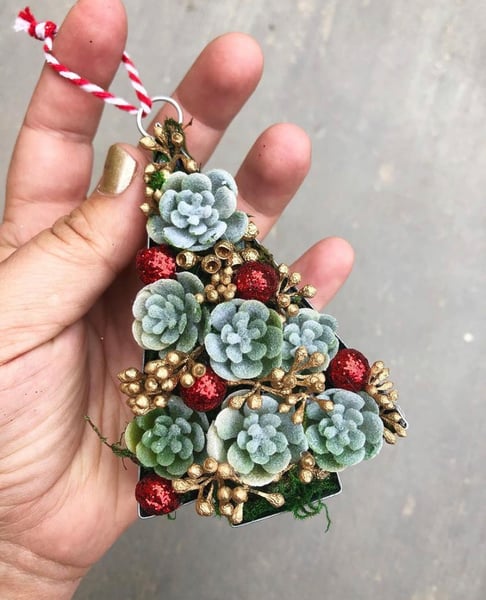 Image of Succulent christmas tree ornament