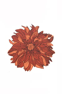 Dahlia Brown