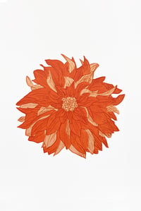 Dahlia Gold