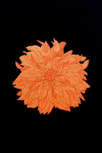  Bronze  Dahlia