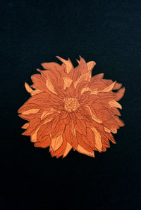 Brown Dahlia