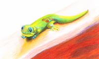 Big Island Gecko Print 