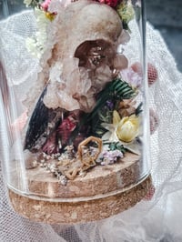 Image 1 of Raven skull 