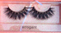 Image 3 of Arrogant(16mm)