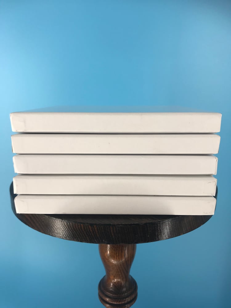 Image of Burlington Recording Heavy Duty White Hinged Boxes for 1/4" x 7" Reels (5 Pack)