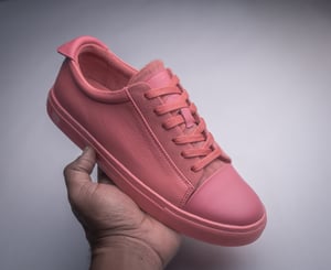 Image of Pank Plebeians