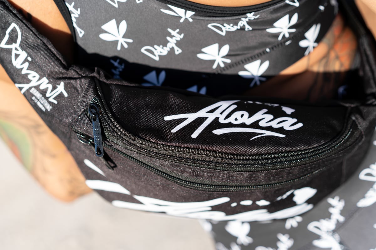 name brand fanny pack