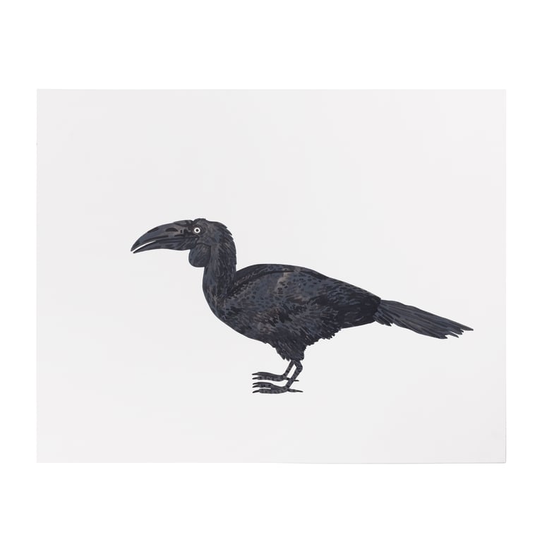 Wreathed Hornbill | Gewone Jaarvogel