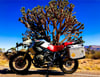 STILL LIFE WITH MOTORCYCLE 2021 CALENDAR