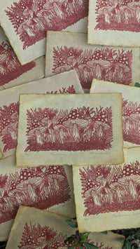 Image 4 of Mushroom Grove