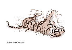 Sleeping Tiger print (Charity item)