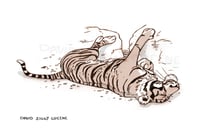 Image 1 of Sleeping Tiger print