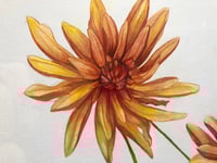 Image 2 of Orange & Magenta Dahlias