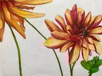 Image 3 of Orange & Magenta Dahlias