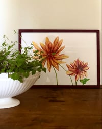 Image 1 of Orange & Magenta Dahlias