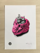 Image of Drama Lisboa X Louis Cannings Supa Colours