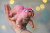 Tardigrade - one of a kind