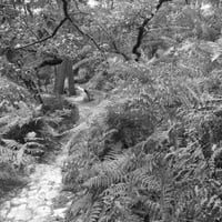 Le Petit Chemin Fontainebleau