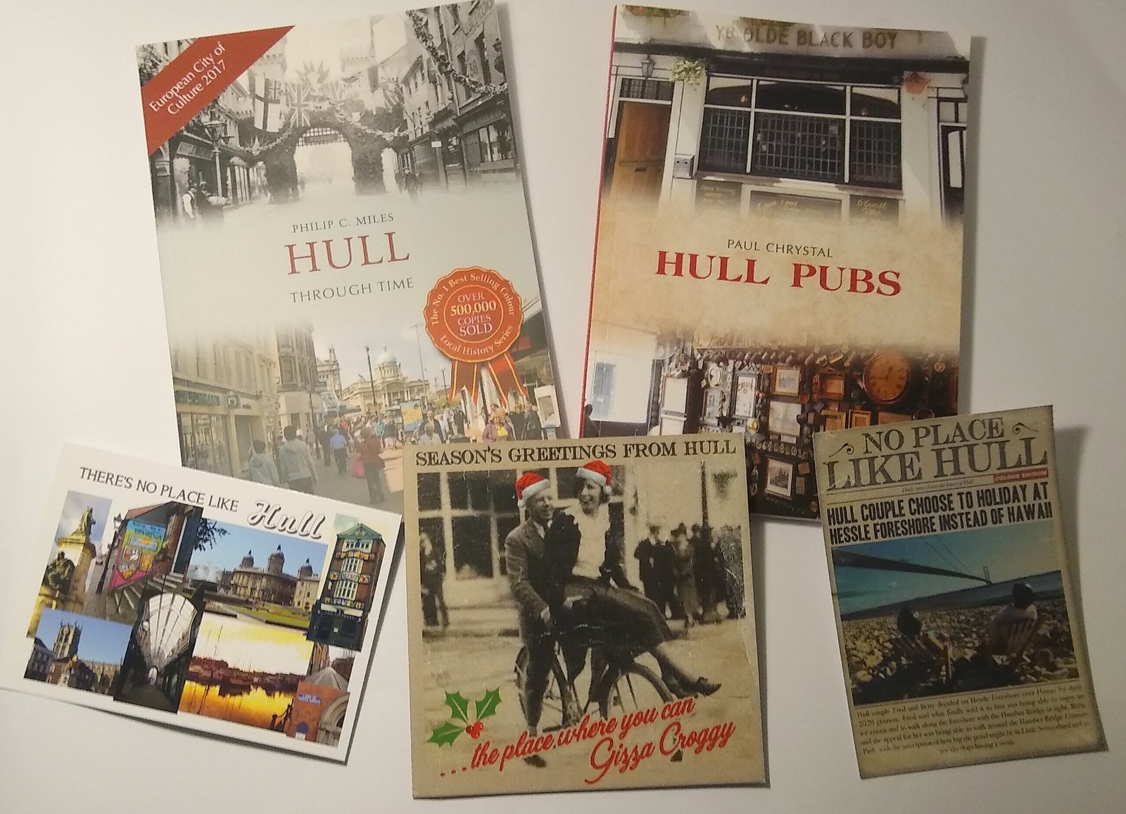 twenty years at hull house book