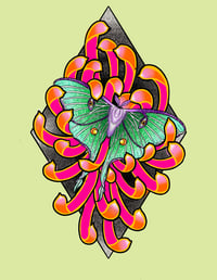 Luna moth chrysanthemum art print by Leeuh Vandever