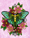 Floral Luna moth art print by Leeuh Vandever