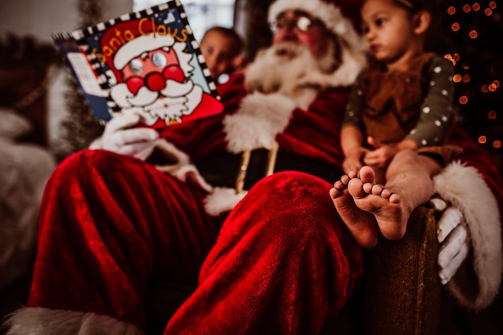 Image of Indoor Santa minis!!
