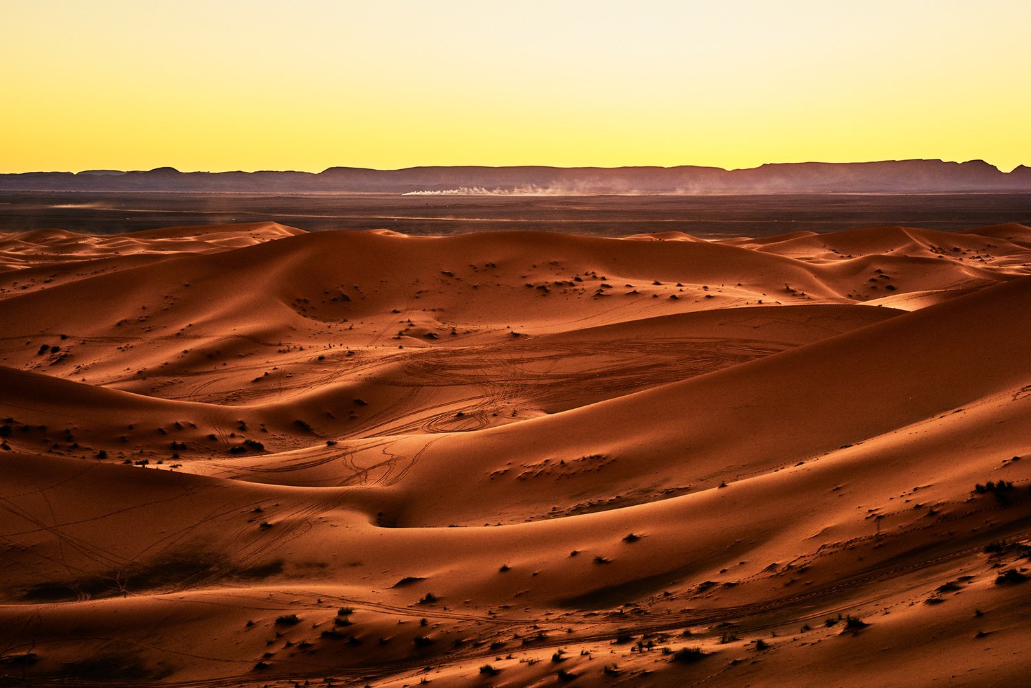 Sahara Desert I