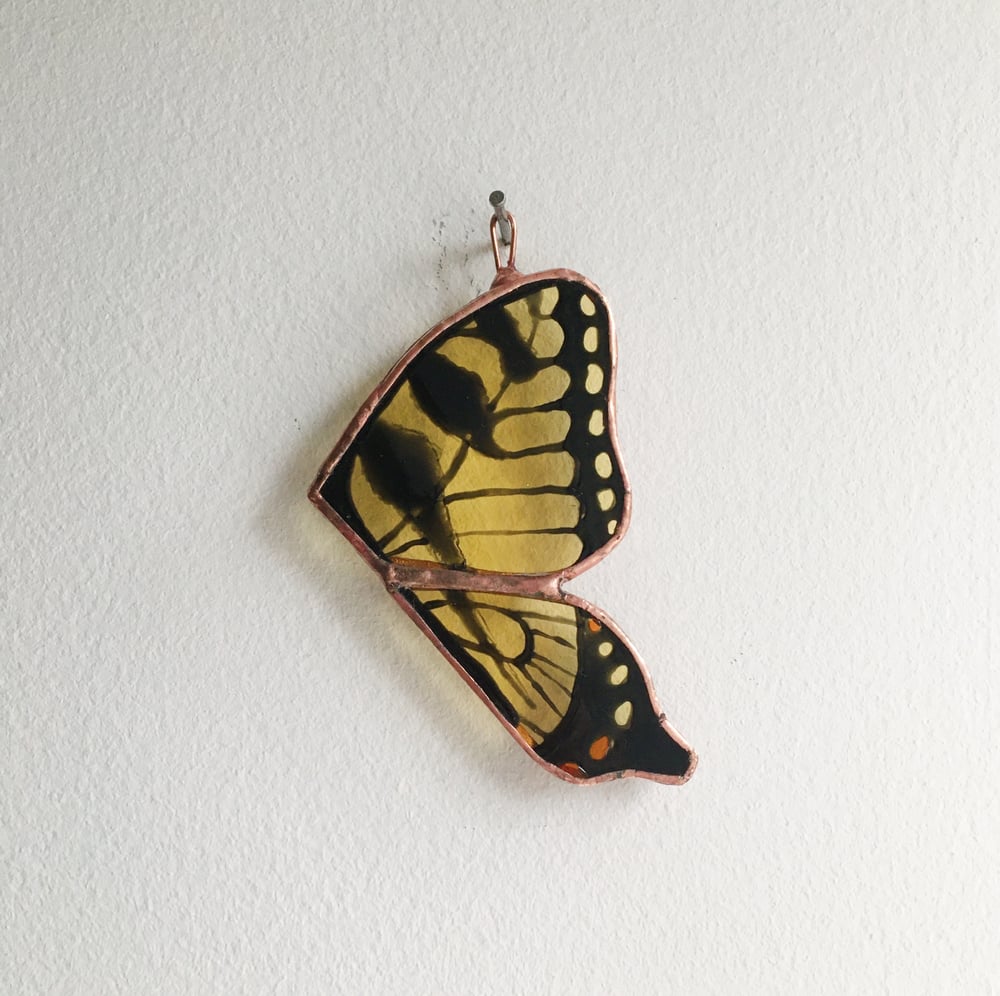 Swallowtail Butterfly Wings / ABJ glassworks