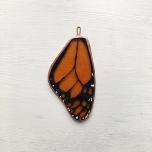 Image of Monarch Butterfly Wing