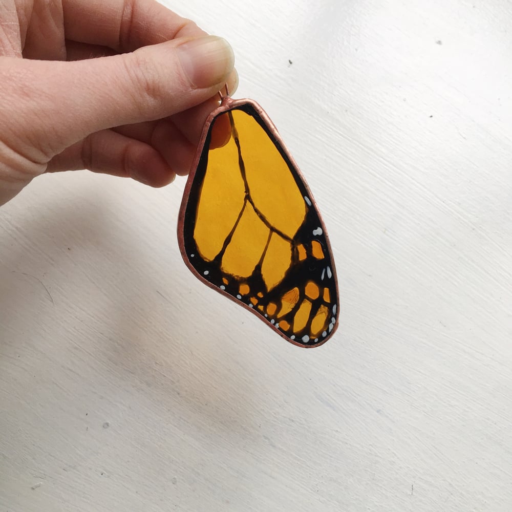 Image of Monarch Butterfly Wing