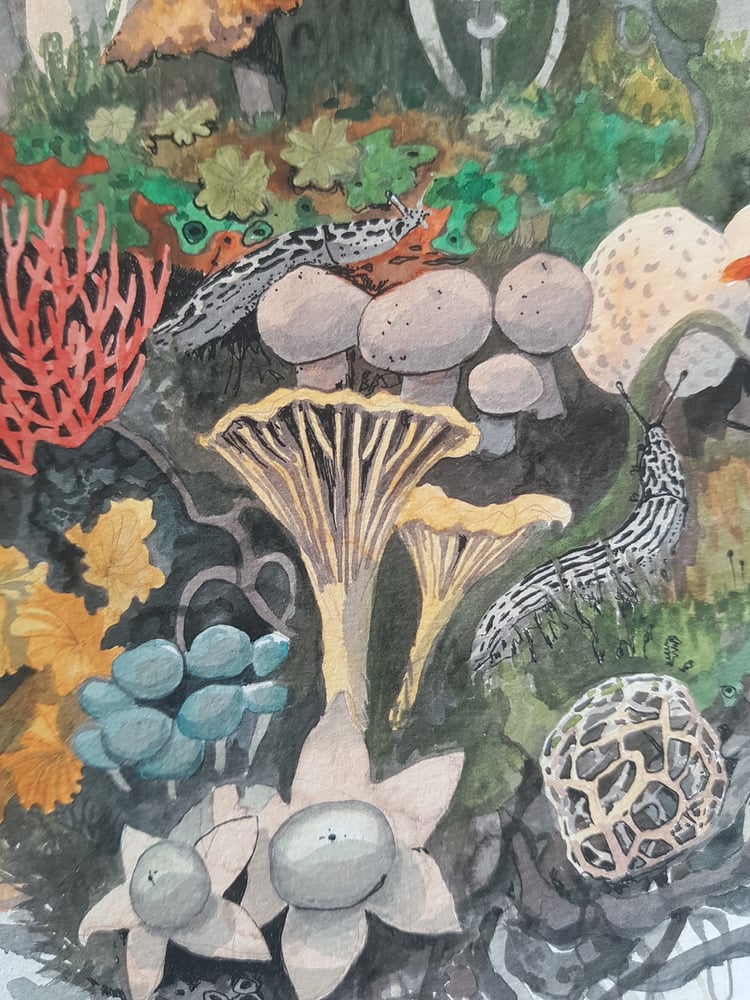 Image of Fungi Raft giclee fine art print
