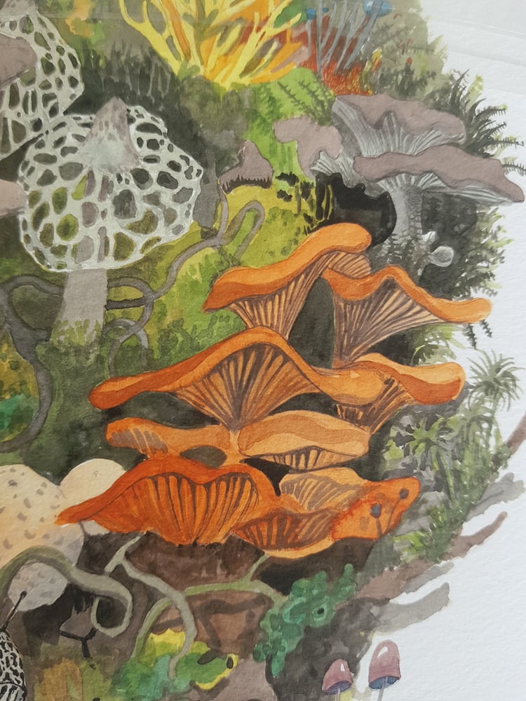 Image of Fungi Raft giclee fine art print