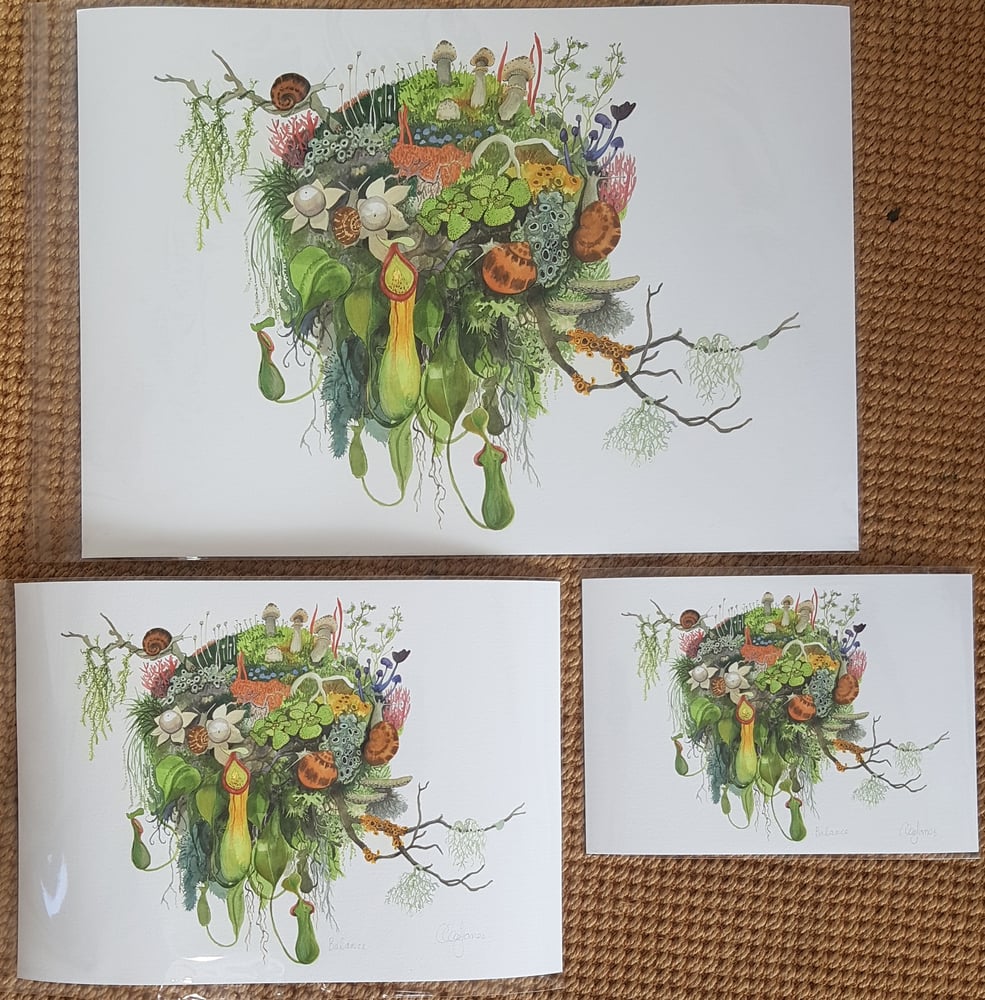 Image of Pitcher Plant Raft giclee fine art print