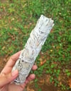 White Sage Sticks