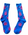 Turquoise/ Pink Trap Socks